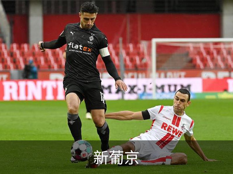关于新葡京