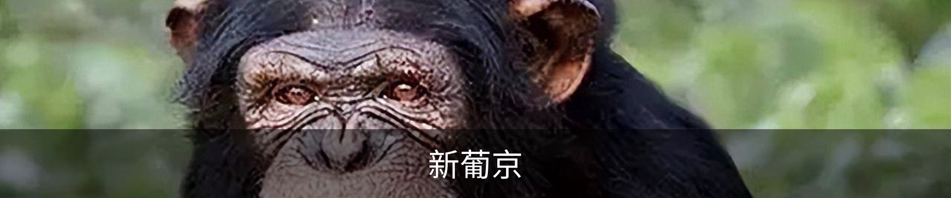 澳门葡京娱乐|葡京网址